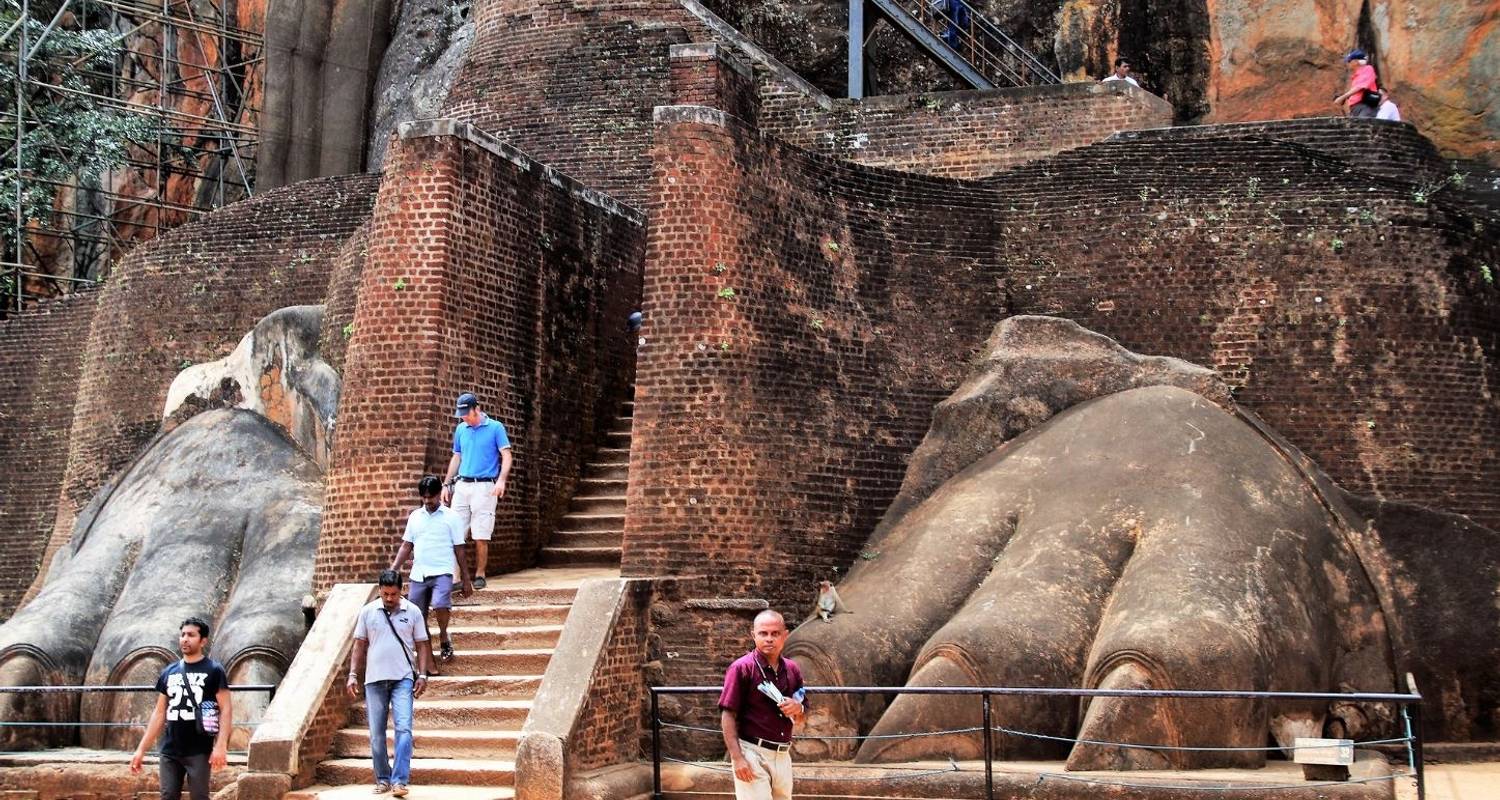 Enchanting Serendipity: A Journey Through Sri Lanka's Heartland