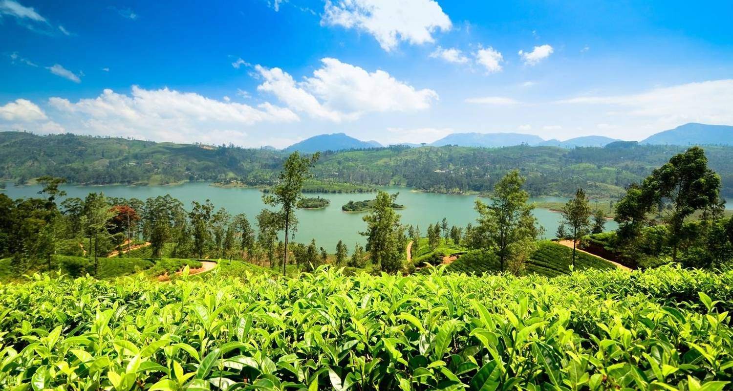 Beyond Boundaries Experiencing the Best of Sri Lanka : 11 Days