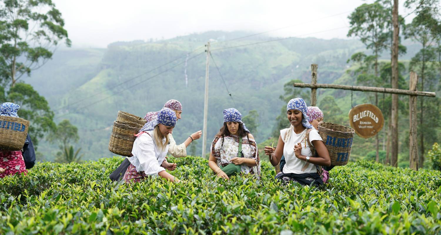Cultural Treasures and Natural wonders, Sri Lanka's Splendorous path