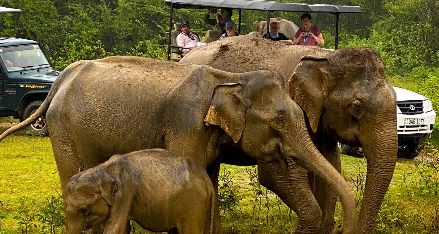 Serene Sri Lanka: A Magical 5-days Journey