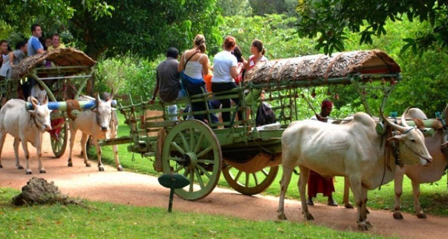 Fascinating Sri Lanka tour in 11 days